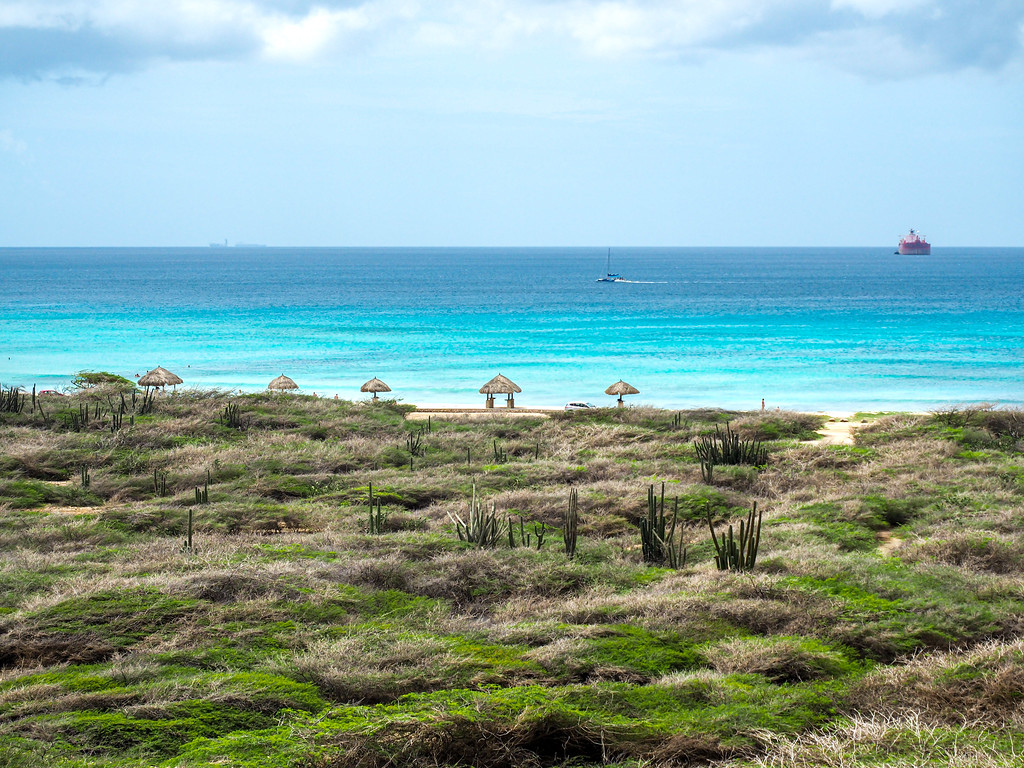 Aruba Villa photo 5
