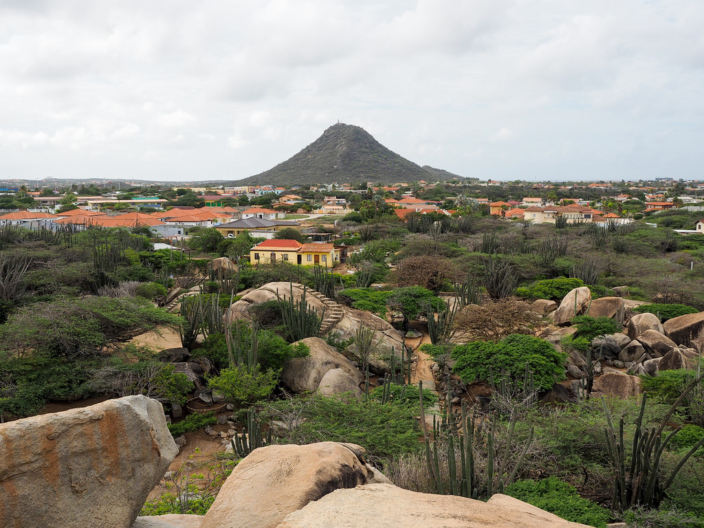 Aruba Villa photo 3
